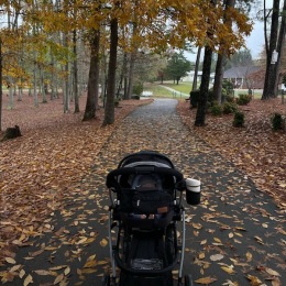 a baby stroller in a park