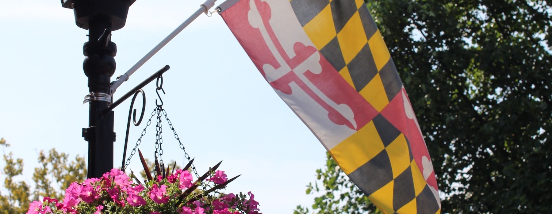a flag on a pole